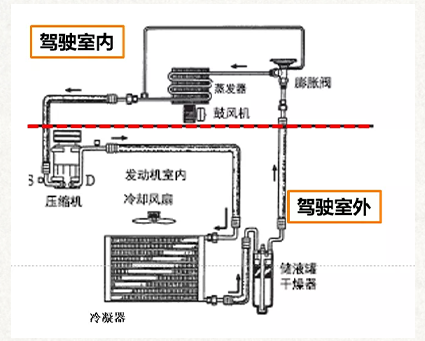 体育tv